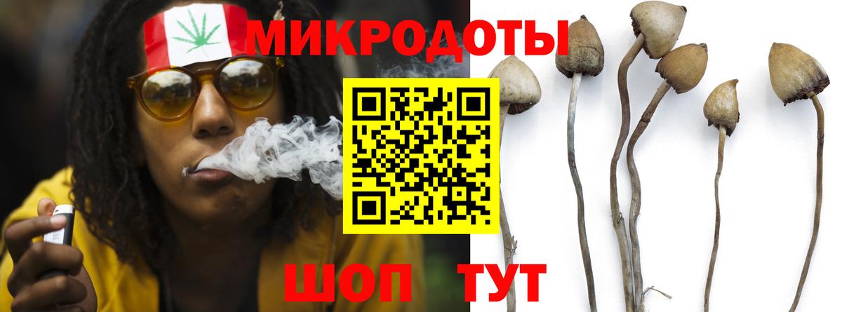 Псилоцибиновые грибы Cubensis  Галлюциногенные грибы мухоморы  Ртищево  Вход с VPN 