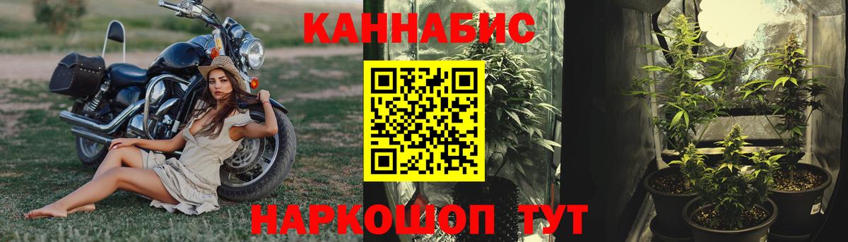 Ртищево  Бошки Шишки AK-47  Конопля MAZAR  Марихуана Bruce Banner  Бошки Шишки White Widow  Вход с VPN 